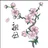 cherry_blossom