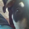 lola